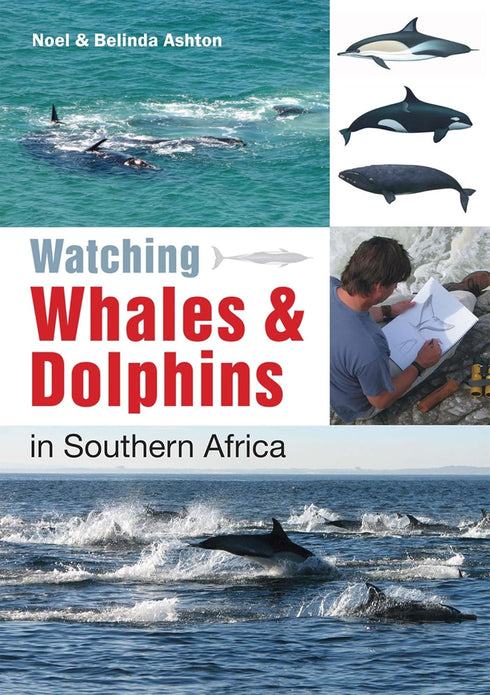 Watching Whales & Dolphins in Southern Africa - Ashton,N. 2012